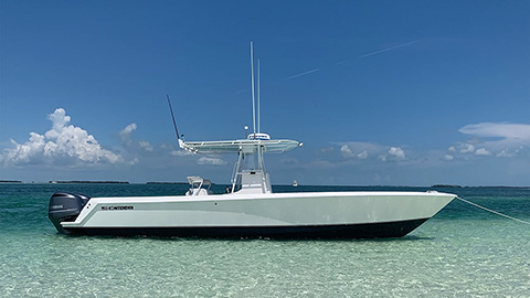 No Doubt Charters